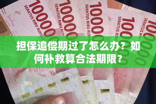 济南担保追偿期过了怎么办？如何补救算合法期限？