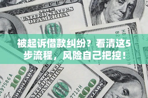 济南被起诉借款纠纷？看清这5步流程，风险自己把控！